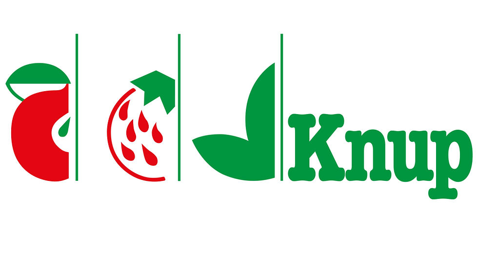 Peter Knup AG