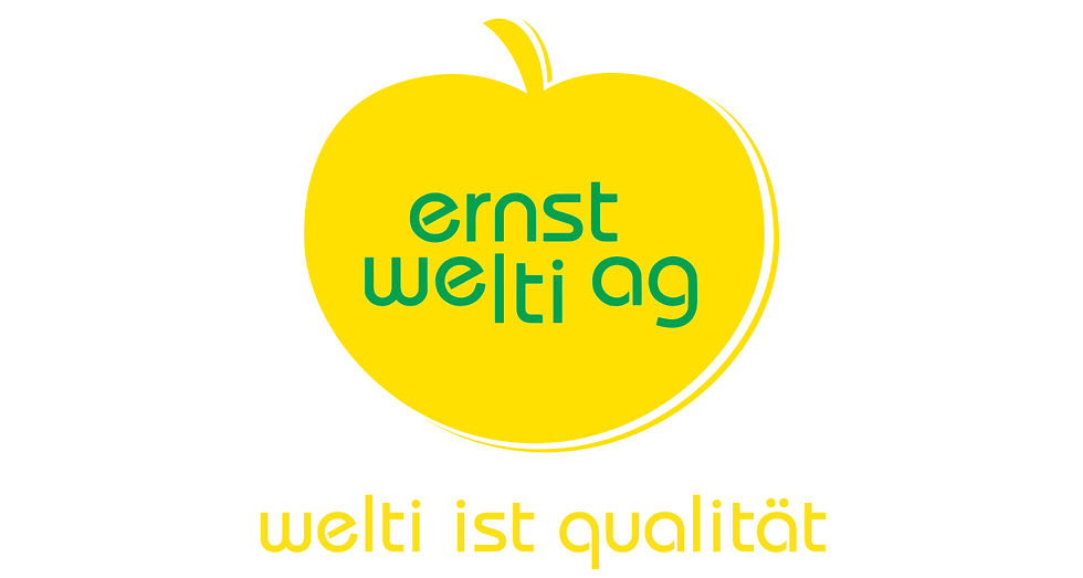 Ernst Welti AG