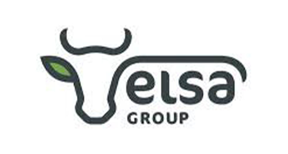 Elsa Group SA